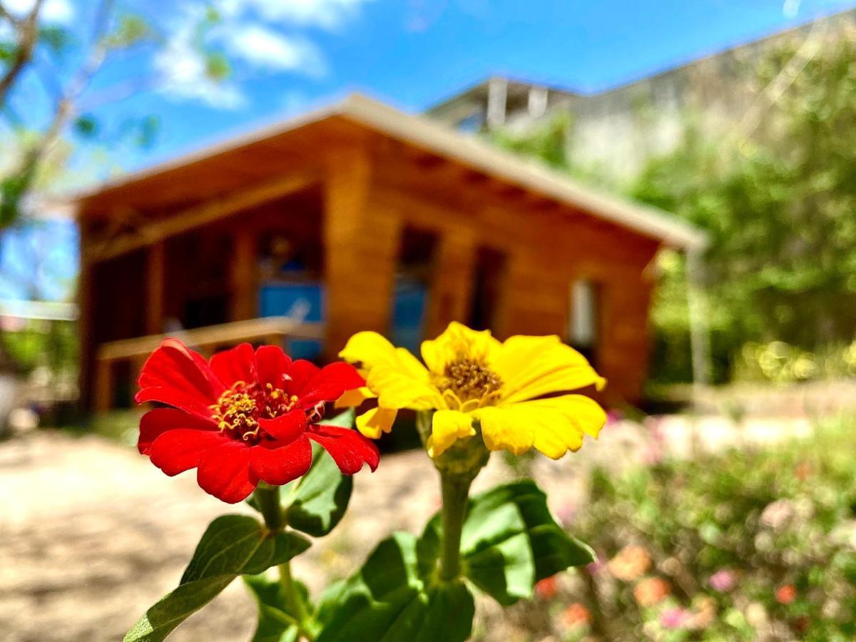 Hoja Azul Villa Hojancha Eksteriør bilde